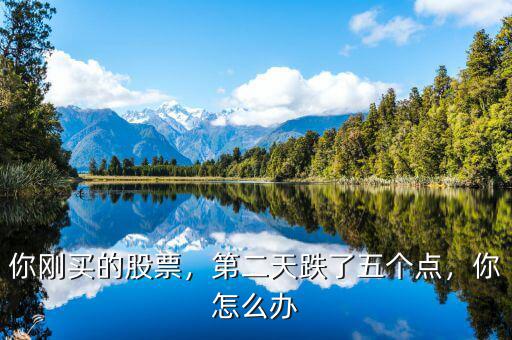 你剛買的股票，第二天跌了五個點(diǎn)，你怎么辦