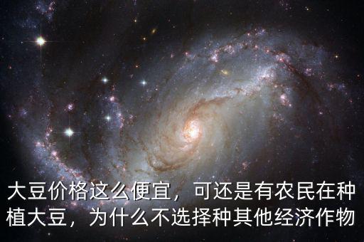 大豆價格這么便宜，可還是有農(nóng)民在種植大豆，為什么不選擇種其他經(jīng)濟作物