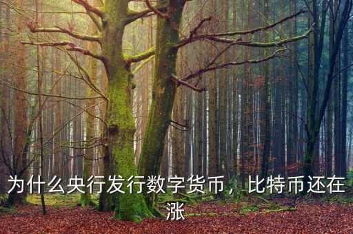 為什么央行發(fā)行數(shù)字貨幣，比特幣還在漲