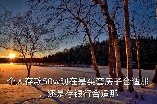 個人存款50w現(xiàn)在是買套房子合適那，還是存銀行合適那