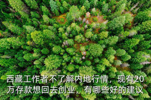 西藏工作者不了解內地行情，現(xiàn)有20萬存款想回去創(chuàng)業(yè)，有哪些好的建議