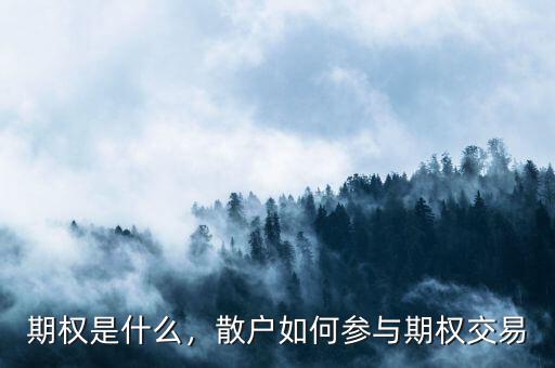 期權(quán)是什么，散戶如何參與期權(quán)交易
