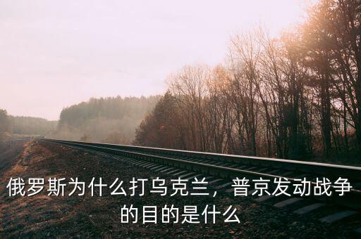 俄羅斯為什么打?yàn)蹩颂m，普京發(fā)動(dòng)戰(zhàn)爭的目的是什么