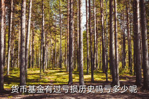 貨幣基金什么時(shí)候虧,貨幣基金什么時(shí)候賣(mài)出比較好
