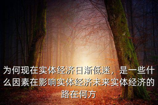 為何現(xiàn)在實體經(jīng)濟日漸低迷，是一些什么因素在影響實體經(jīng)濟未來實體經(jīng)濟的路在何方