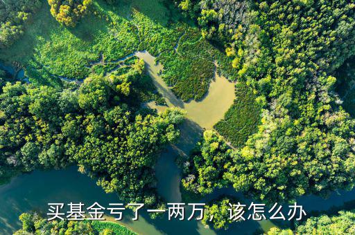 買基金虧了一兩萬，該怎么辦