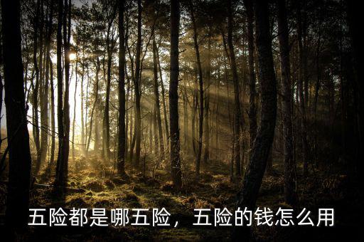 五險(xiǎn)都是哪五險(xiǎn)，五險(xiǎn)的錢(qián)怎么用