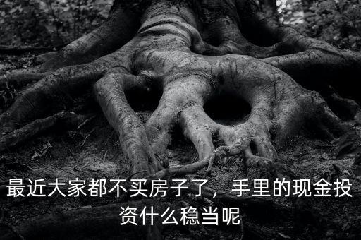 最近大家都不買房子了，手里的現(xiàn)金投資什么穩(wěn)當(dāng)呢