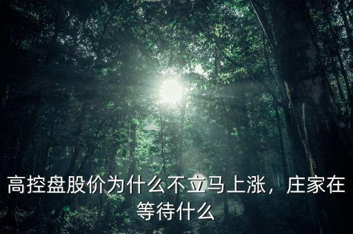 高控盤股價(jià)為什么不立馬上漲，莊家在等待什么