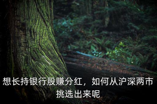 想長(zhǎng)持銀行股賺分紅，如何從滬深兩市挑選出來(lái)呢