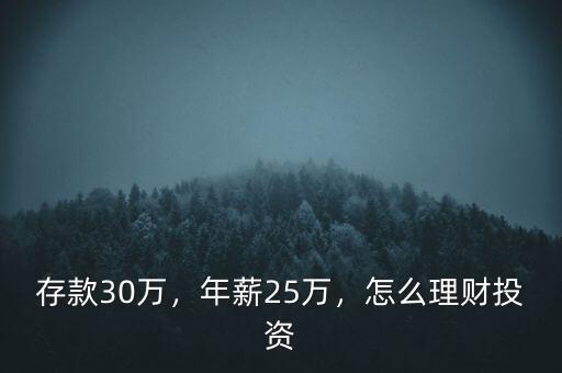 存款30萬，年薪25萬，怎么理財投資