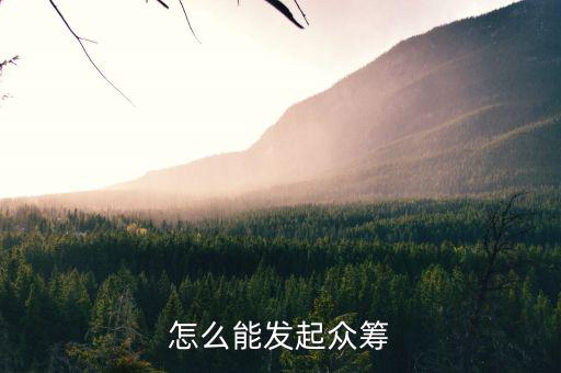 眾籌網怎么發(fā)起項目,怎么能發(fā)起眾籌
