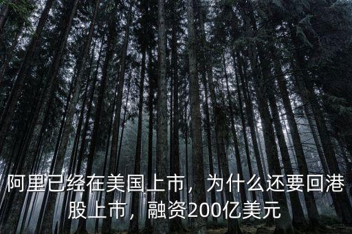 阿里已經(jīng)在美國(guó)上市，為什么還要回港股上市，融資200億美元