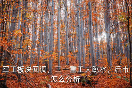 軍工板塊回調(diào)，三一重工大跳水，后市怎么分析