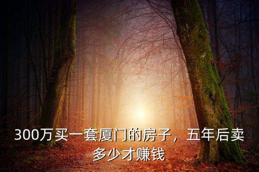 300萬買一套廈門的房子，五年后賣多少才賺錢