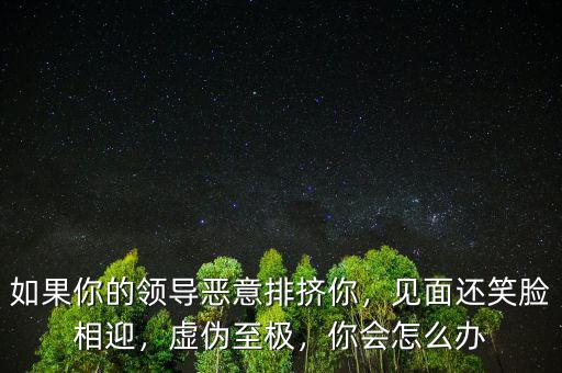 如果你的領(lǐng)導(dǎo)惡意排擠你，見面還笑臉相迎，虛偽至極，你會(huì)怎么辦