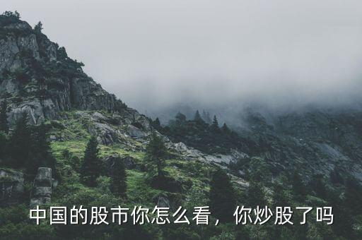 中國的股市你怎么看，你炒股了嗎