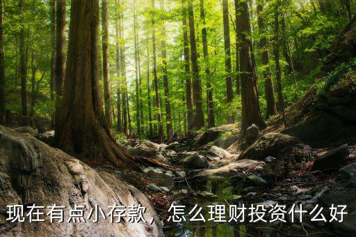 現(xiàn)在有點小存款，怎么理財投資什么好
