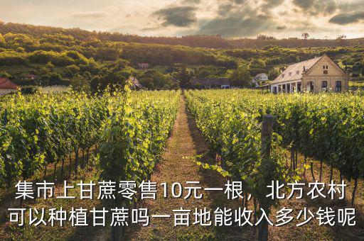 集市上甘蔗零售10元一根，北方農(nóng)村可以種植甘蔗嗎一畝地能收入多少錢(qián)呢