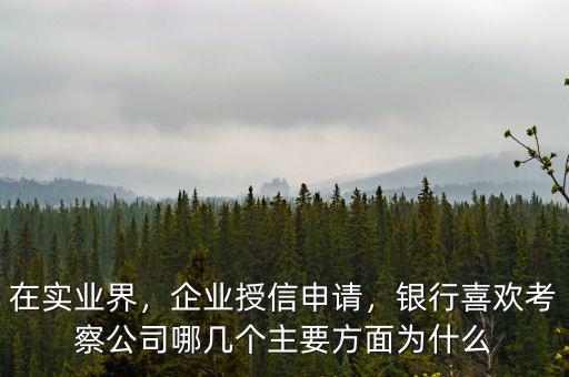在實(shí)業(yè)界，企業(yè)授信申請，銀行喜歡考察公司哪幾個主要方面為什么