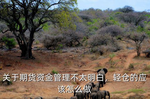 關(guān)于期貨資金管理不太明白，輕倉的應該怎么做
