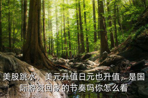 美股跳水，美元升值日元也升值，是國際游資回家的節(jié)奏嗎你怎么看