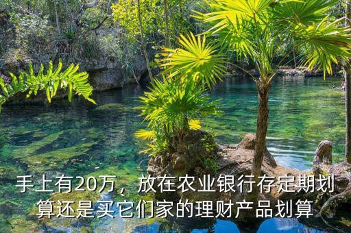 手上有20萬，放在農(nóng)業(yè)銀行存定期劃算還是買它們家的理財(cái)產(chǎn)品劃算
