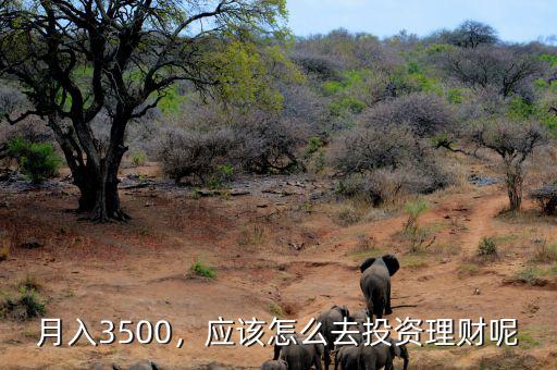 月入3500，應該怎么去投資理財呢