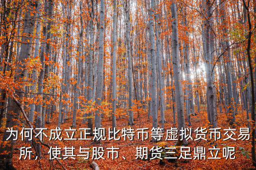 為何不成立正規(guī)比特幣等虛擬貨幣交易所，使其與股市、期貨三足鼎立呢