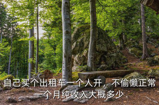自己買個出租車一個人開，不偷懶正常一個月純收入大概多少