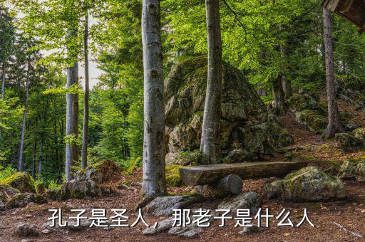 孔子是圣人，那老子是什么人