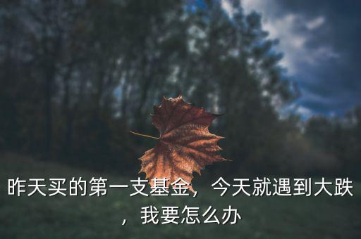 昨天買的第一支基金，今天就遇到大跌，我要怎么辦