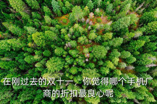 在剛過去的雙十一，你覺得哪個手機廠商的折扣最良心呢