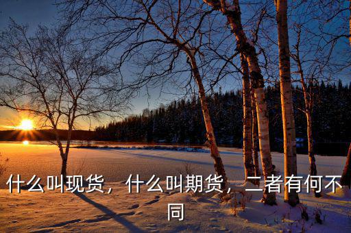 什么叫現(xiàn)貨，什么叫期貨，二者有何不同