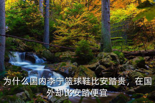 為什么國內(nèi)李寧籃球鞋比安踏貴，在國外卻比安踏便宜