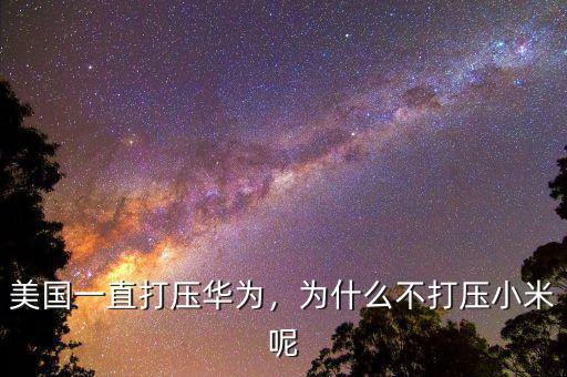 美國(guó)一直打壓華為，為什么不打壓小米呢