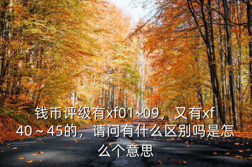 錢幣評級有xf01~09，又有xf40～45的，請問有什么區(qū)別嗎是怎么個意思