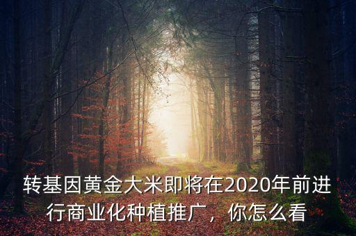轉(zhuǎn)基因黃金大米即將在2020年前進行商業(yè)化種植推廣，你怎么看