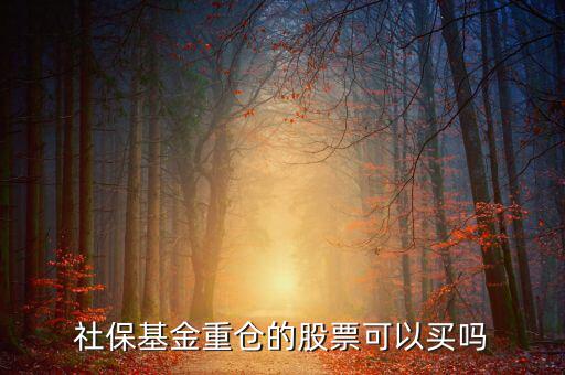 社保買(mǎi)了獐子島多少股票,社保基金重倉(cāng)的股票可以買(mǎi)嗎
