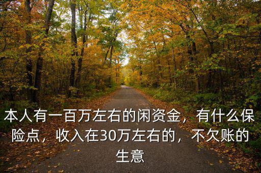 本人有一百萬左右的閑資金，有什么保險點，收入在30萬左右的，不欠賬的生意