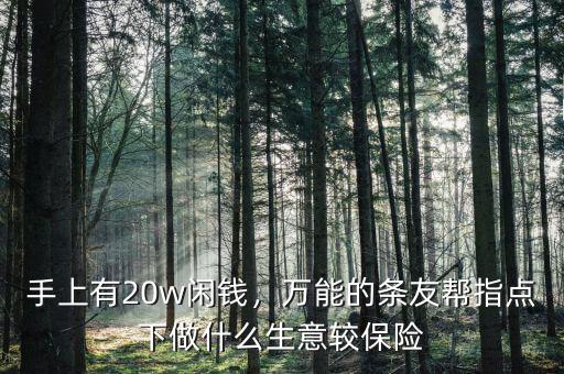 手上有20w閑錢，萬能的條友幫指點(diǎn)下做什么生意較保險