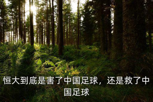恒大到底是害了中國足球，還是救了中國足球