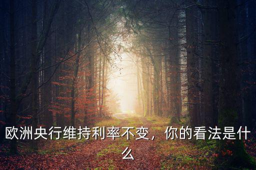 歐洲央行維持利率不變，你的看法是什么
