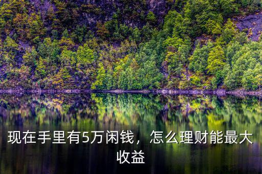 現(xiàn)在手里有5萬(wàn)閑錢，怎么理財(cái)能最大收益