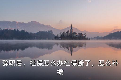 辭職后，社保怎么辦社保斷了，怎么補繳