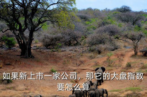 如果新上市一家公司，那它的大盤指數(shù)要怎么算
