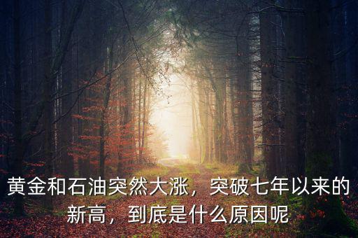 黃金和石油突然大漲，突破七年以來的新高，到底是什么原因呢