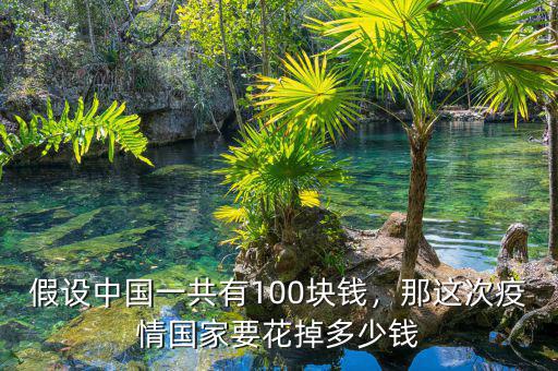 假設(shè)中國一共有100塊錢，那這次疫情國家要花掉多少錢