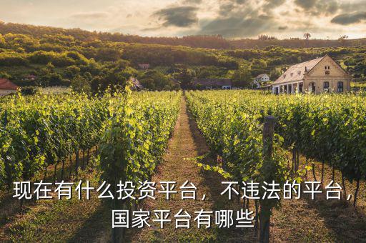 現(xiàn)在有什么投資平臺，不違法的平臺，國家平臺有哪些
