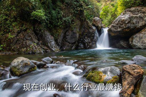 現(xiàn)在創(chuàng)業(yè)，什么行業(yè)最賺錢(qián)